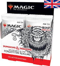 Magic D&D: Adventures in the Forgotten Realms - Collector Booster Caixa - EN